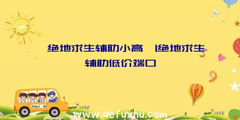 「绝地求生辅助小高」|绝地求生辅助低价端口